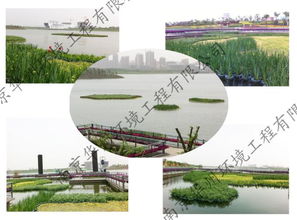华州环境工程 生态浮床技术 常州生态浮床